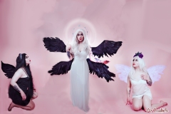 DemonAngelsWawamark